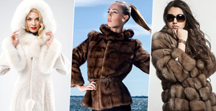 SEO for Fur Shop
