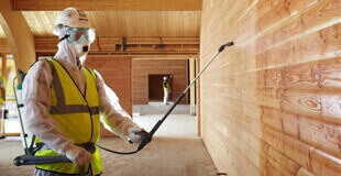 SEO for Shop of Paint for Wood