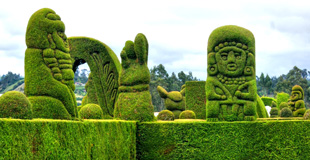 SEO for Landscape Design